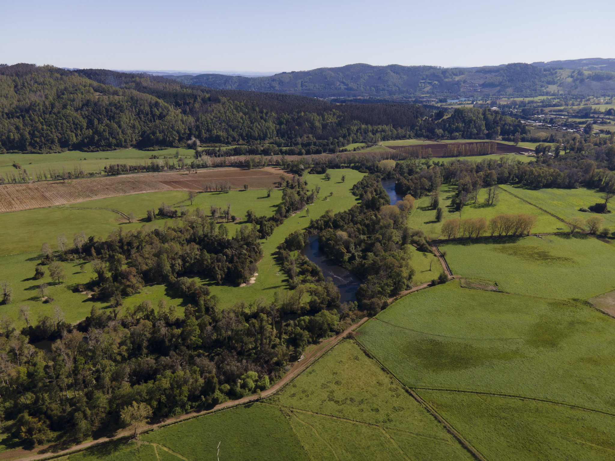 Campo y huerta
